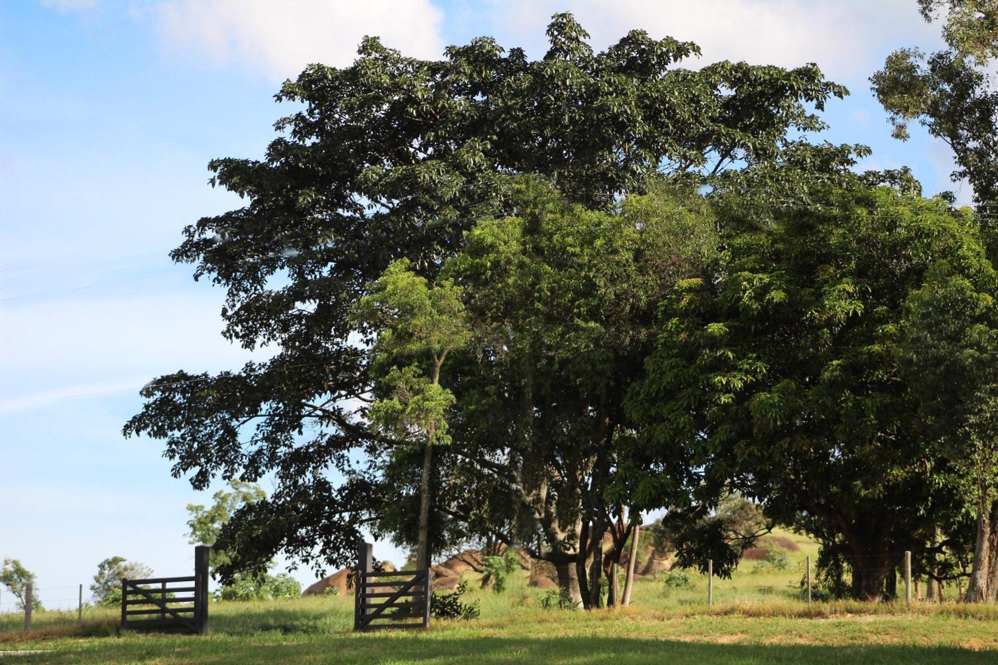 Hotel Limoeiro da Concórdia Fazenda de Charme Cabreúva Exterior foto
