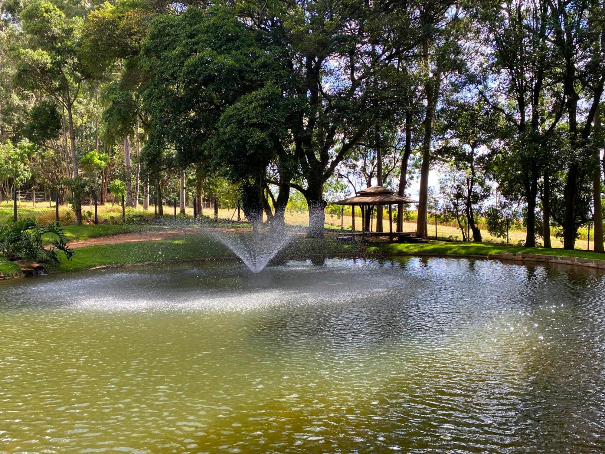 Hotel Limoeiro da Concórdia Fazenda de Charme Itu Exterior foto