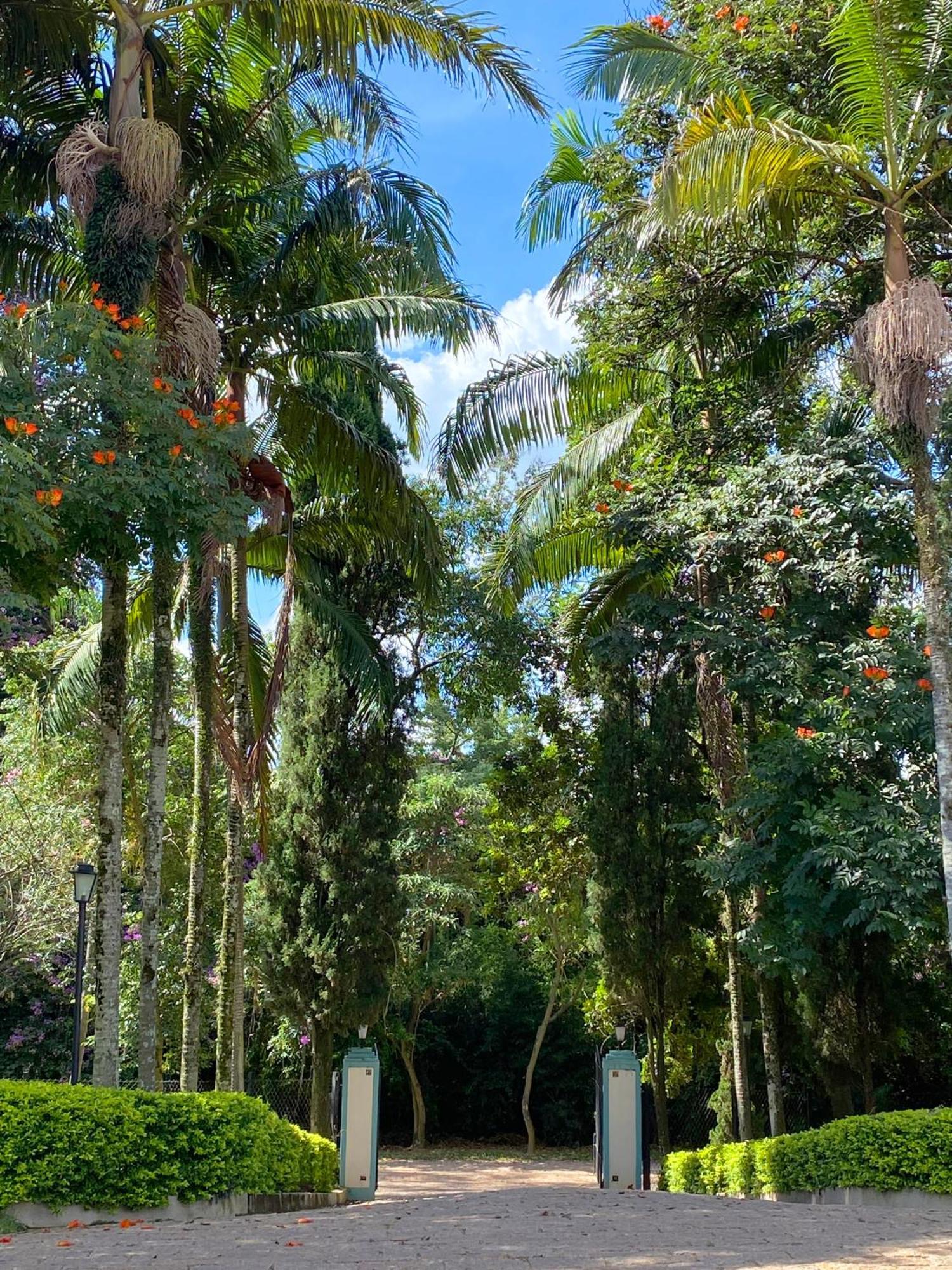 Hotel Limoeiro da Concórdia Fazenda de Charme Cabreúva Exterior foto